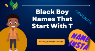 Black Boy Names That Start With T with meanings