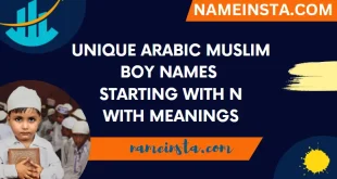 Unique Arabic Muslim Boy Names Starting With N With Meanings