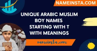 Unique Arabic Muslim Boy Names Starting With T With Meanings