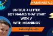 Unique 4 Letter Boy Names That Start With V With Meanings