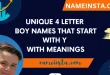 Unique 4 Letter Boy Names That Start With Y With Meanings